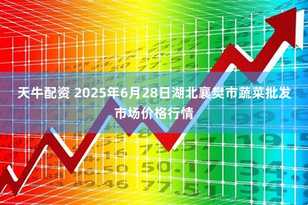 天牛配资 2025年6月28日湖北襄樊市蔬菜批发市场价格行情