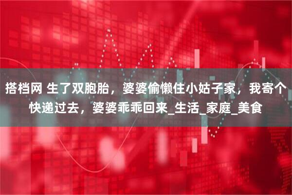 搭档网 生了双胞胎，婆婆偷懒住小姑子家，我寄个快递过去，婆婆乖乖回来_生活_家庭_美食